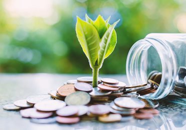 coin jar on table with growing plant